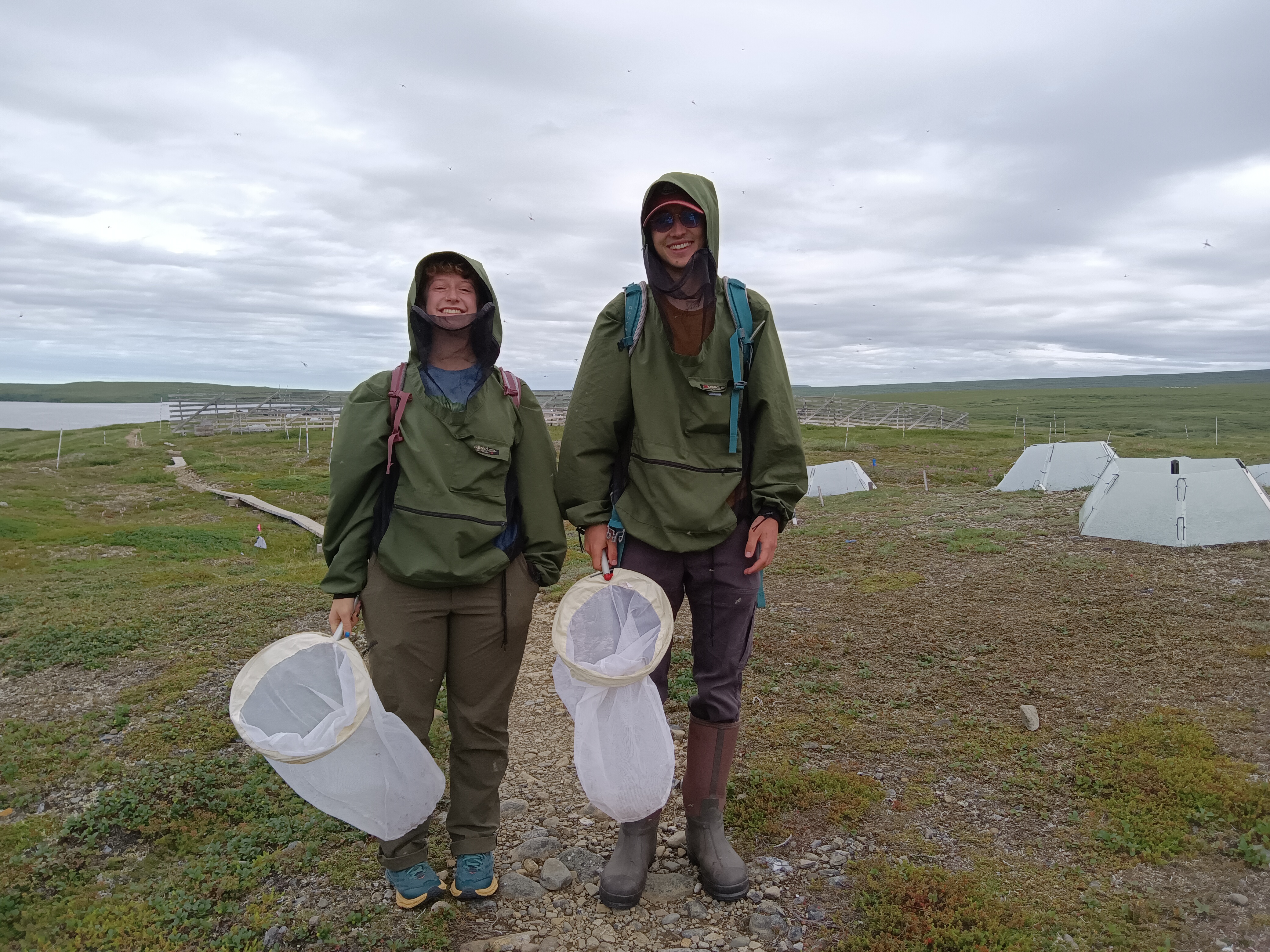 Zach Ginn (’23) and Luca Keon (’25) use insect nets to collect floral visitors in the Arctic tundra on Alaska's North Slope in the Low Arctic. . Photo credit: Dr. Roxaneh Khorsand